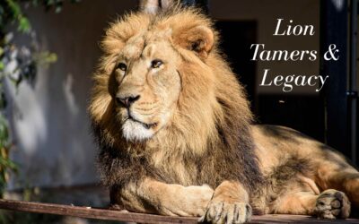 Lion Taming and Legacy