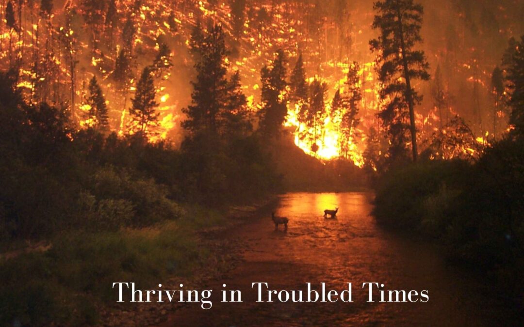 Thriving in Troubled Times: Choosing Rest and Surrender Over Fear