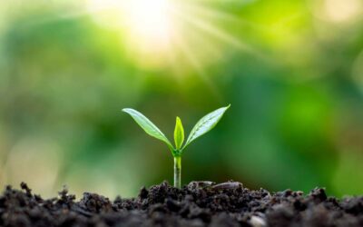 Embracing New Beginnings: Finding Hope and Purpose in Christ