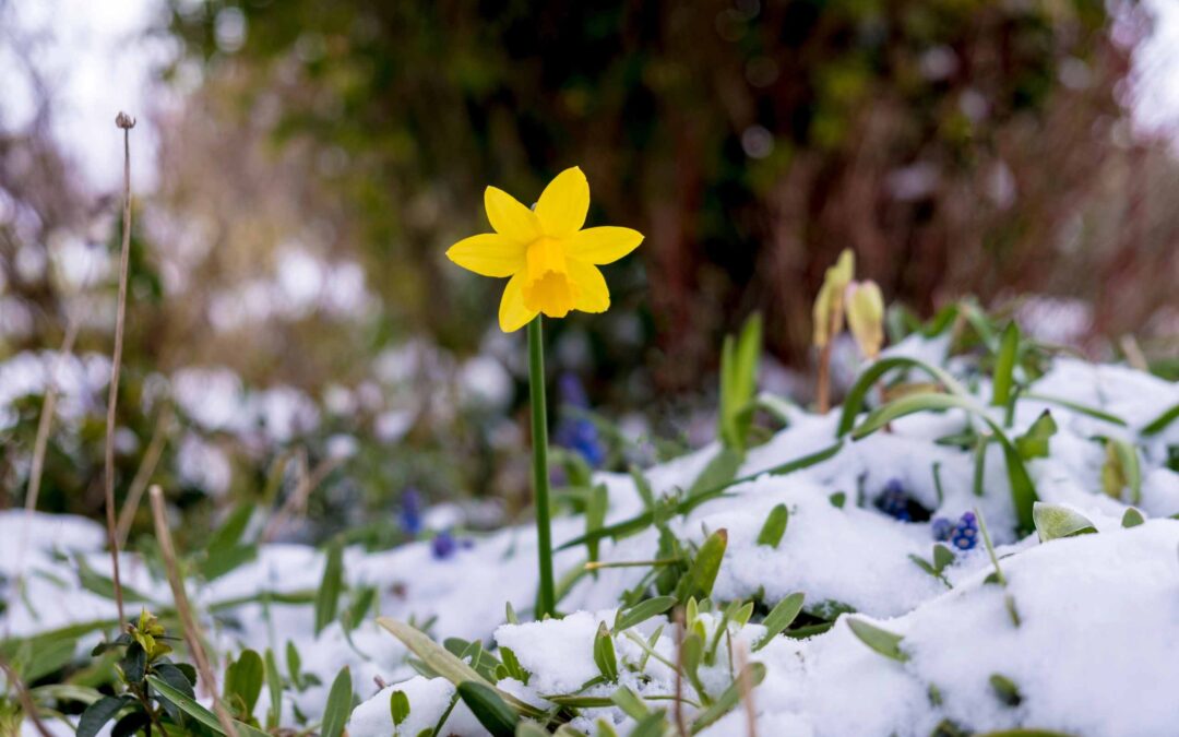 Pressing On: Embracing New Beginnings and Letting Go of the Past